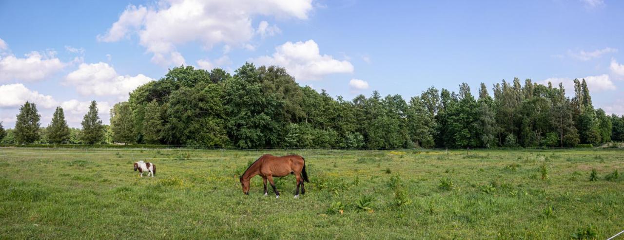 De Lammersdamhoeve Wingene Exterior foto